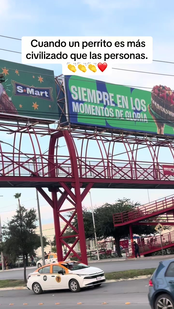@Eder Castro