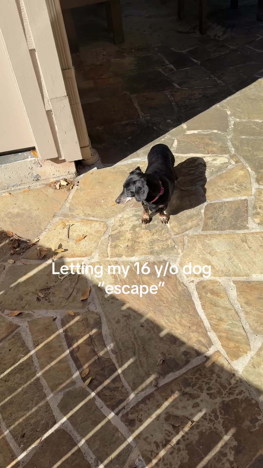 @Hazel & Heidi
