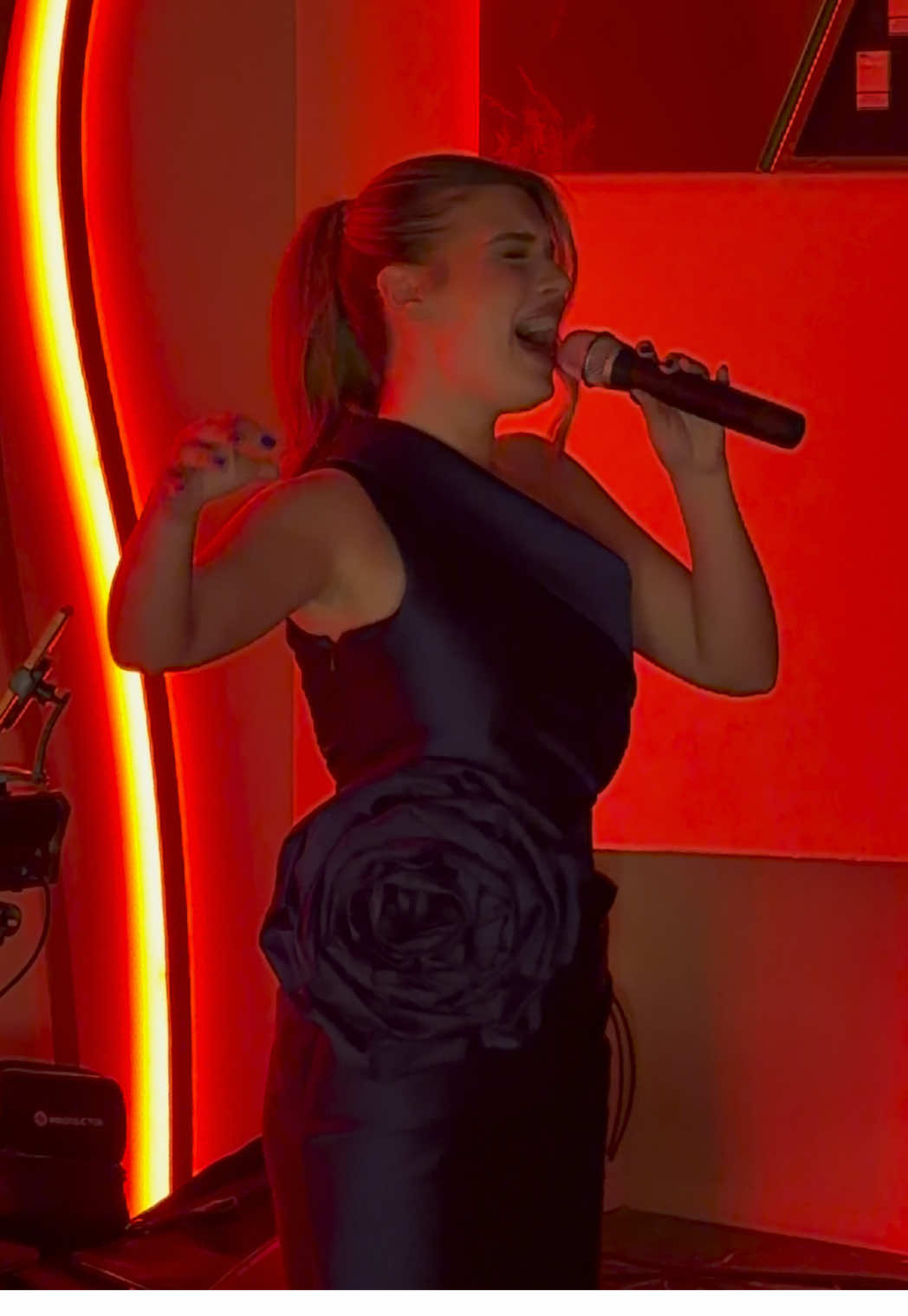 @Teodora.Scepanovic