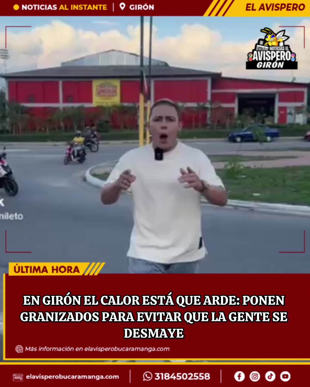 @avisperobucaramanga