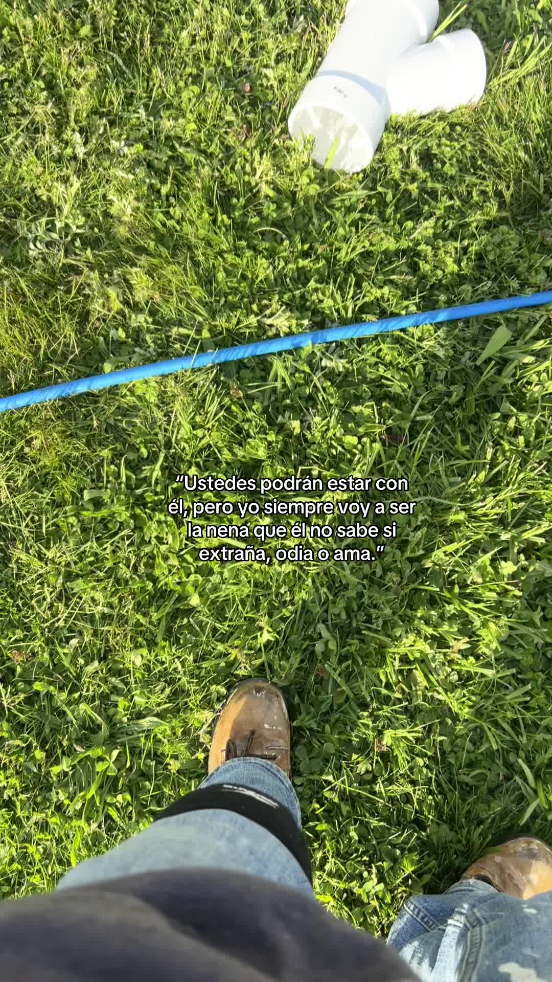 @A🕷️