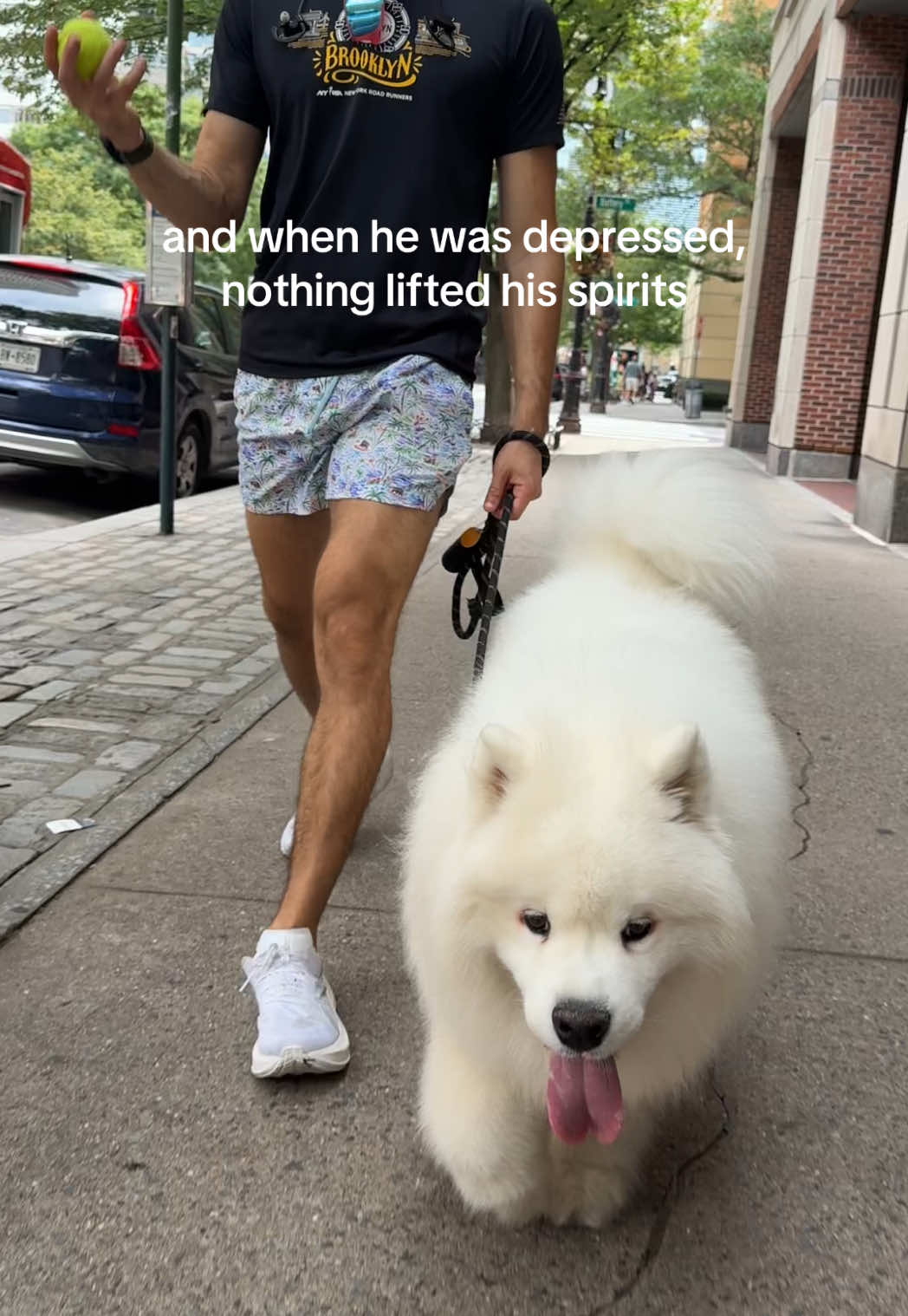 @Biff the Samoyed