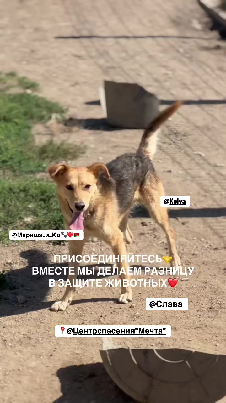@o.alekseeva