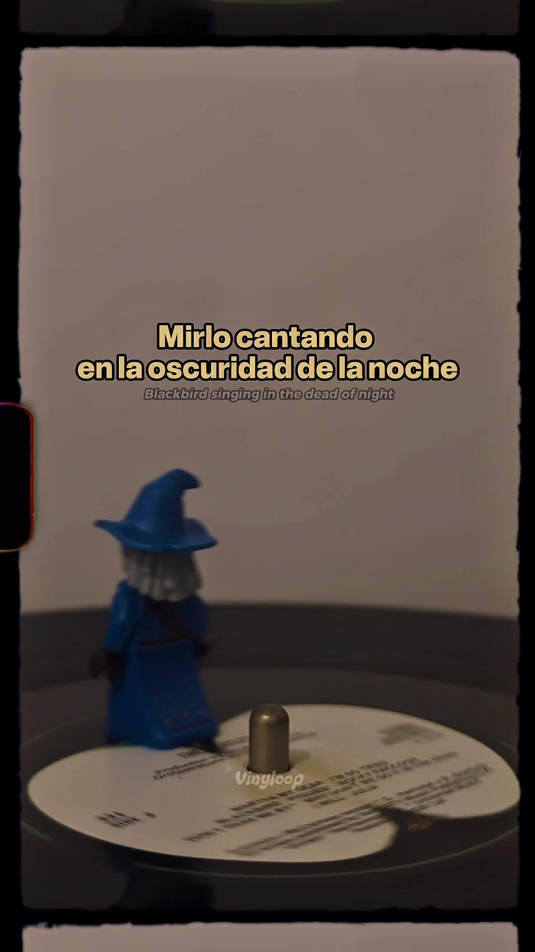 @VinyLoop