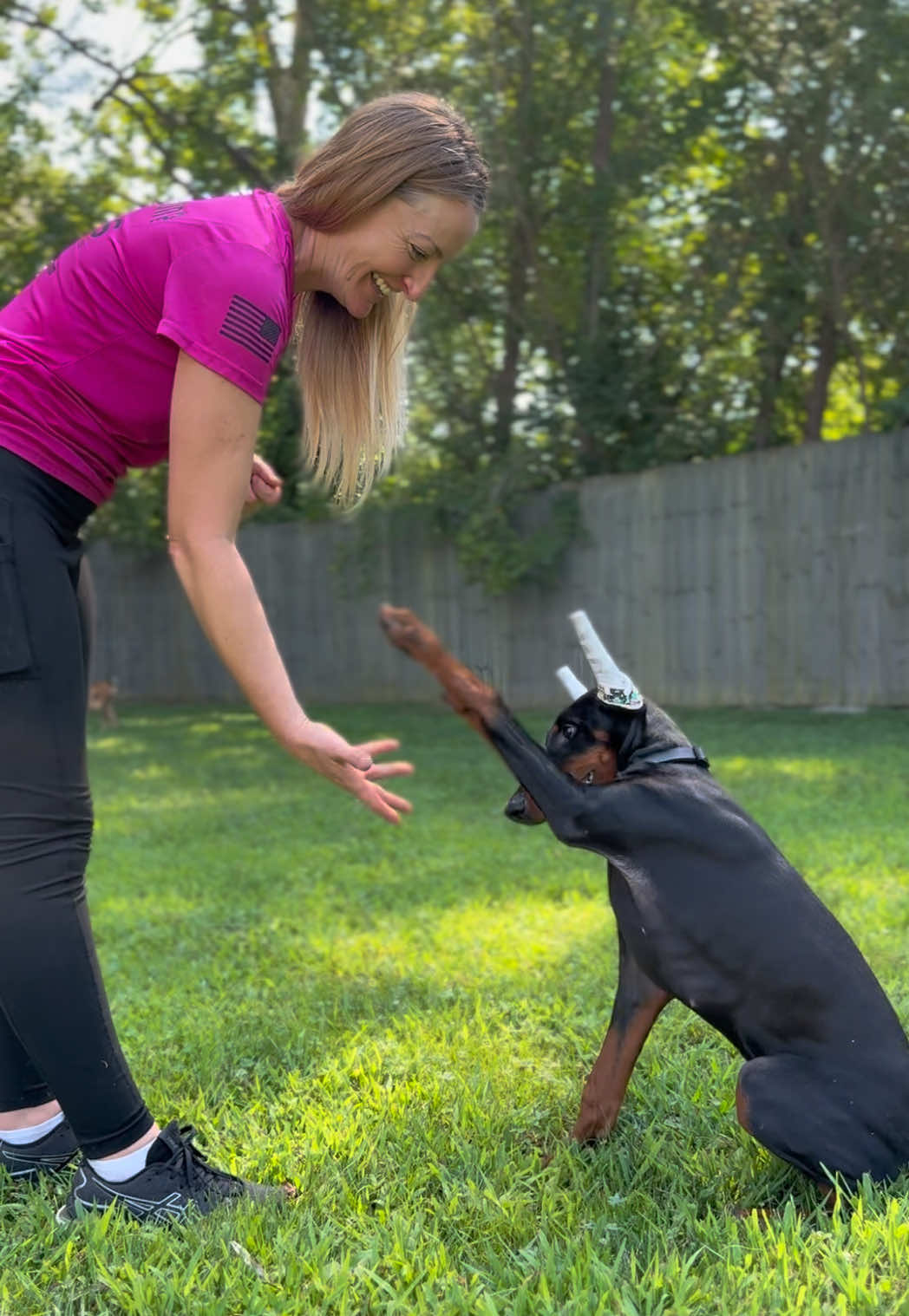 @Protection Dog Sales