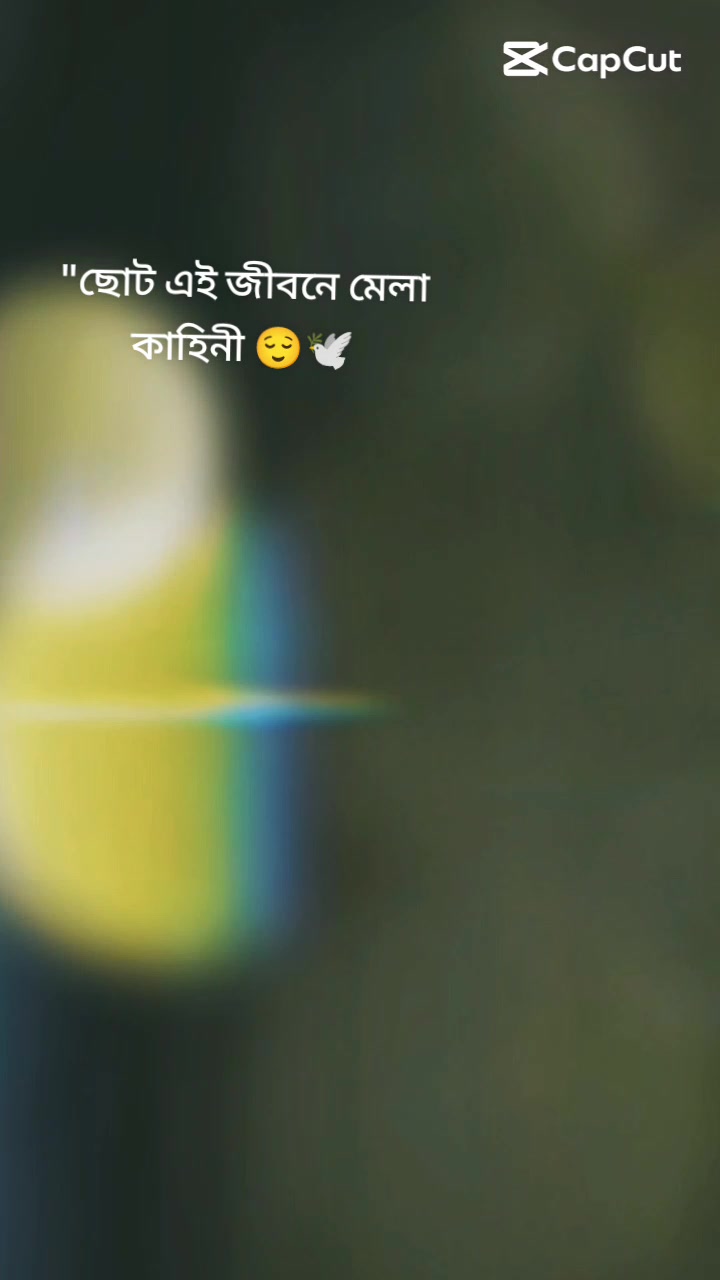 @sabinayesmin@19