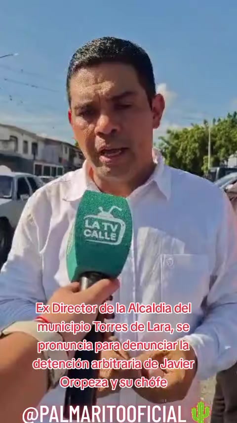 @PALMARITOOFICIAL 🌵