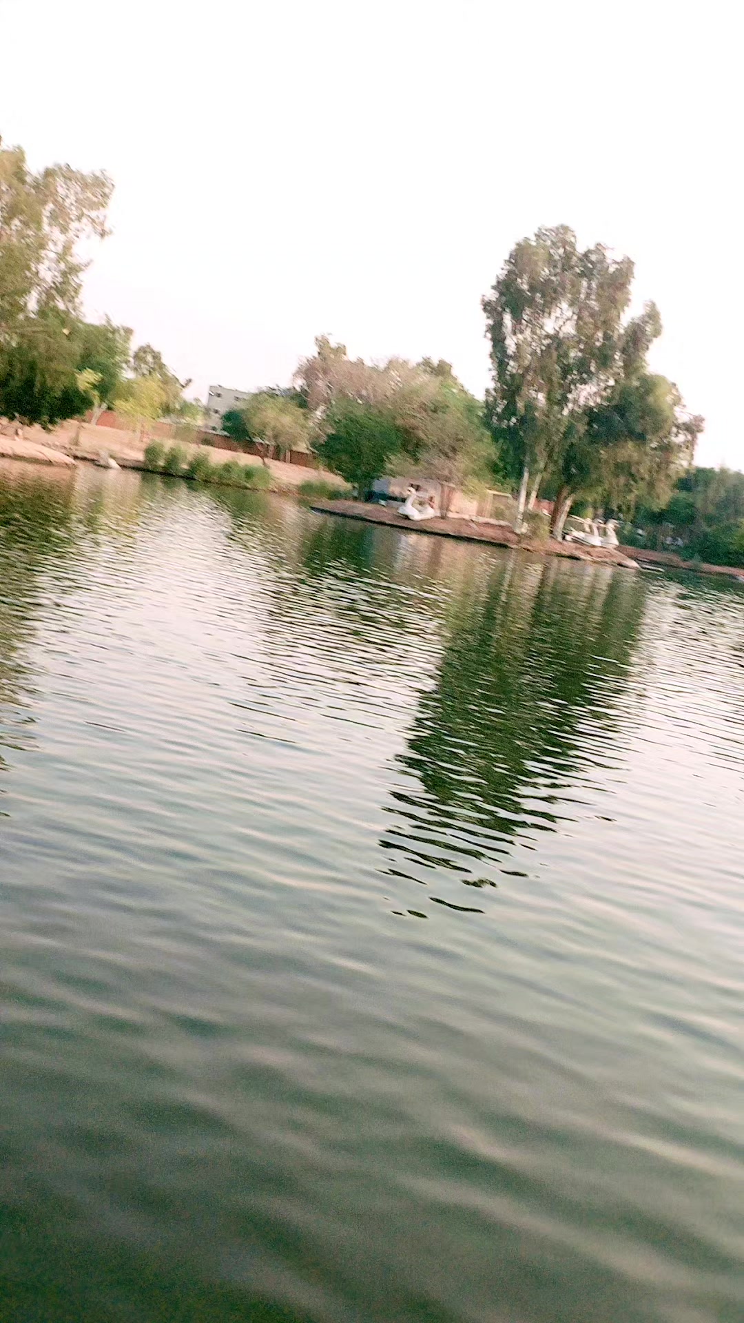 @❤️Abbas🌹Ansari❤️