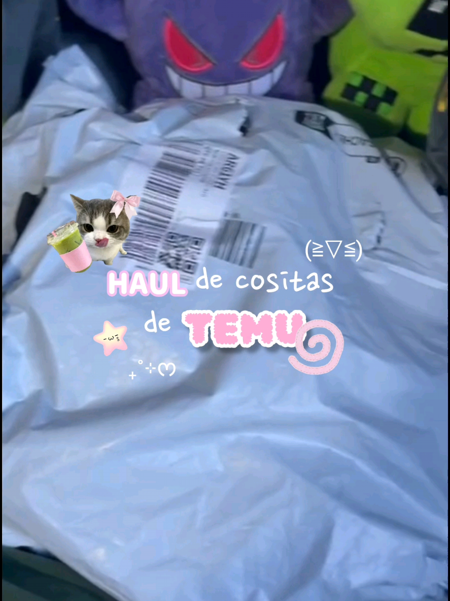 @୭ ˚ ׅ ࣪ felifresitaa 🍓 .ᐟ