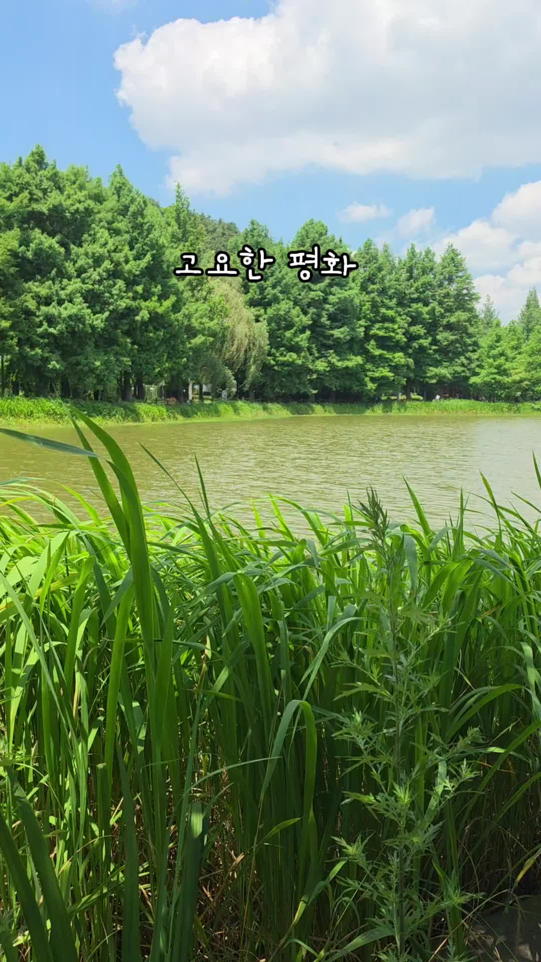 @✨️ 범수생각 ✨