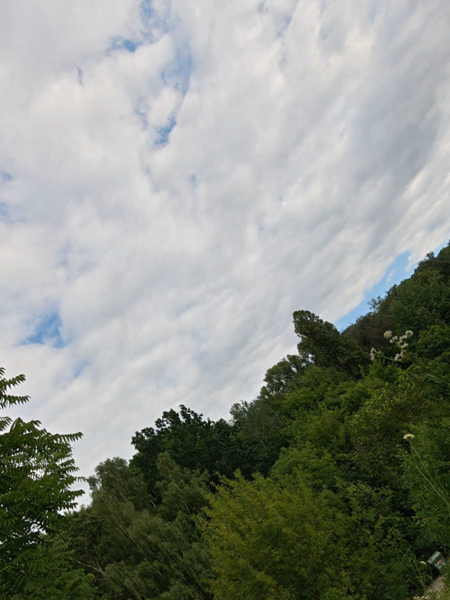 @ℕ𝕒𝕥𝕦𝕣𝕖 𝕝𝕠𝕧𝕖𝕣🌿