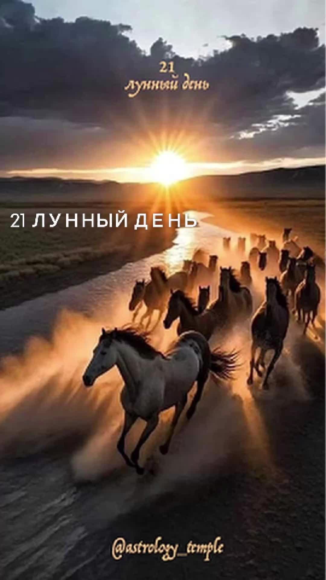 @Константин Воробьев | Астролог