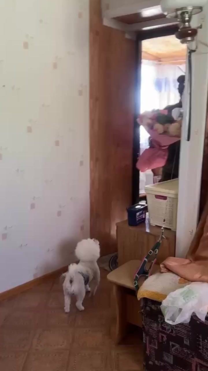 @Александра Зайкова