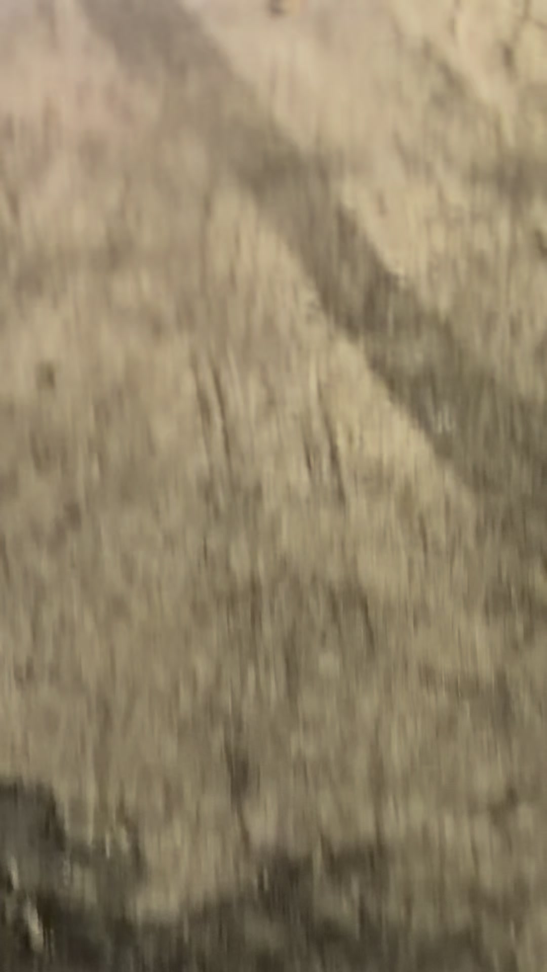 @ɐɹʇnd