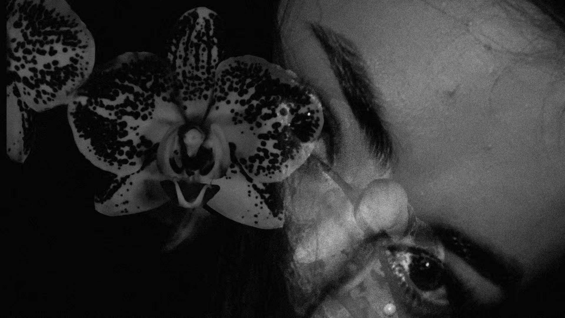 @azalia.hami