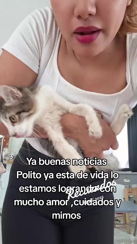 @Nel
