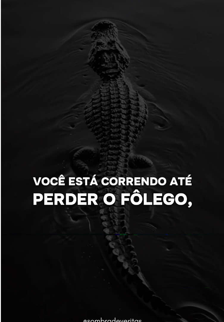 @Sombra de Veritas