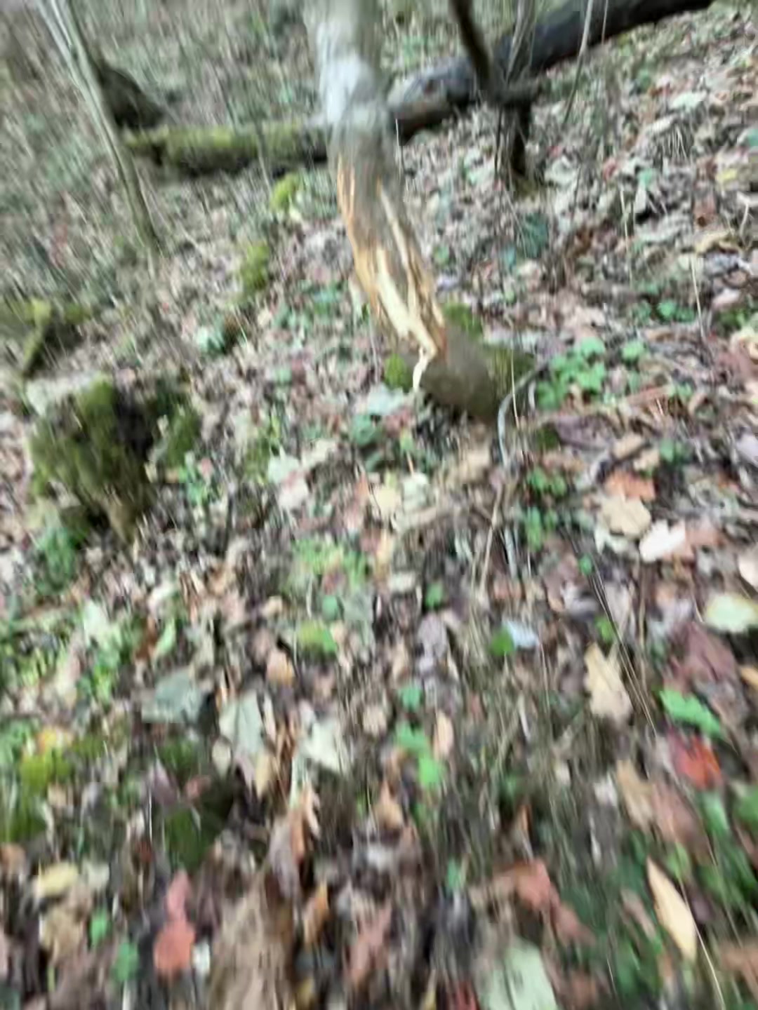 @kirkendolloutdoors