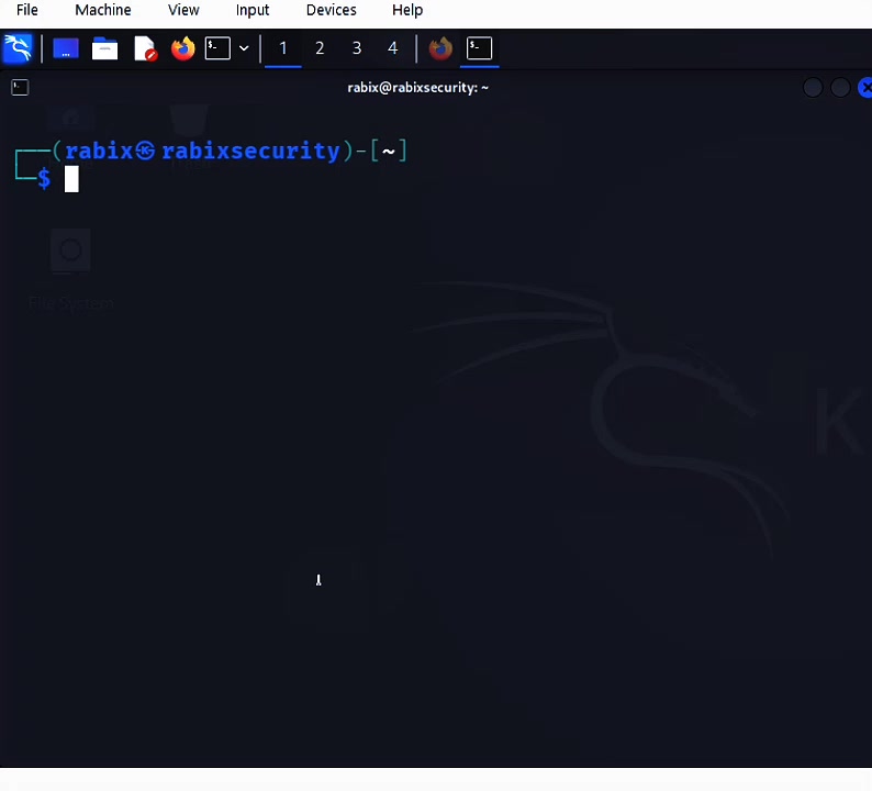 @RabiX Security
