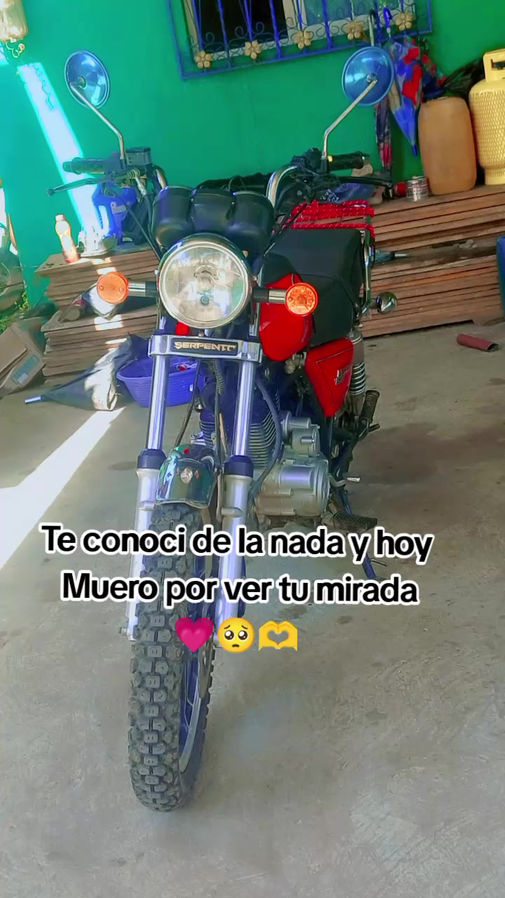 @CamiRamos502☘️