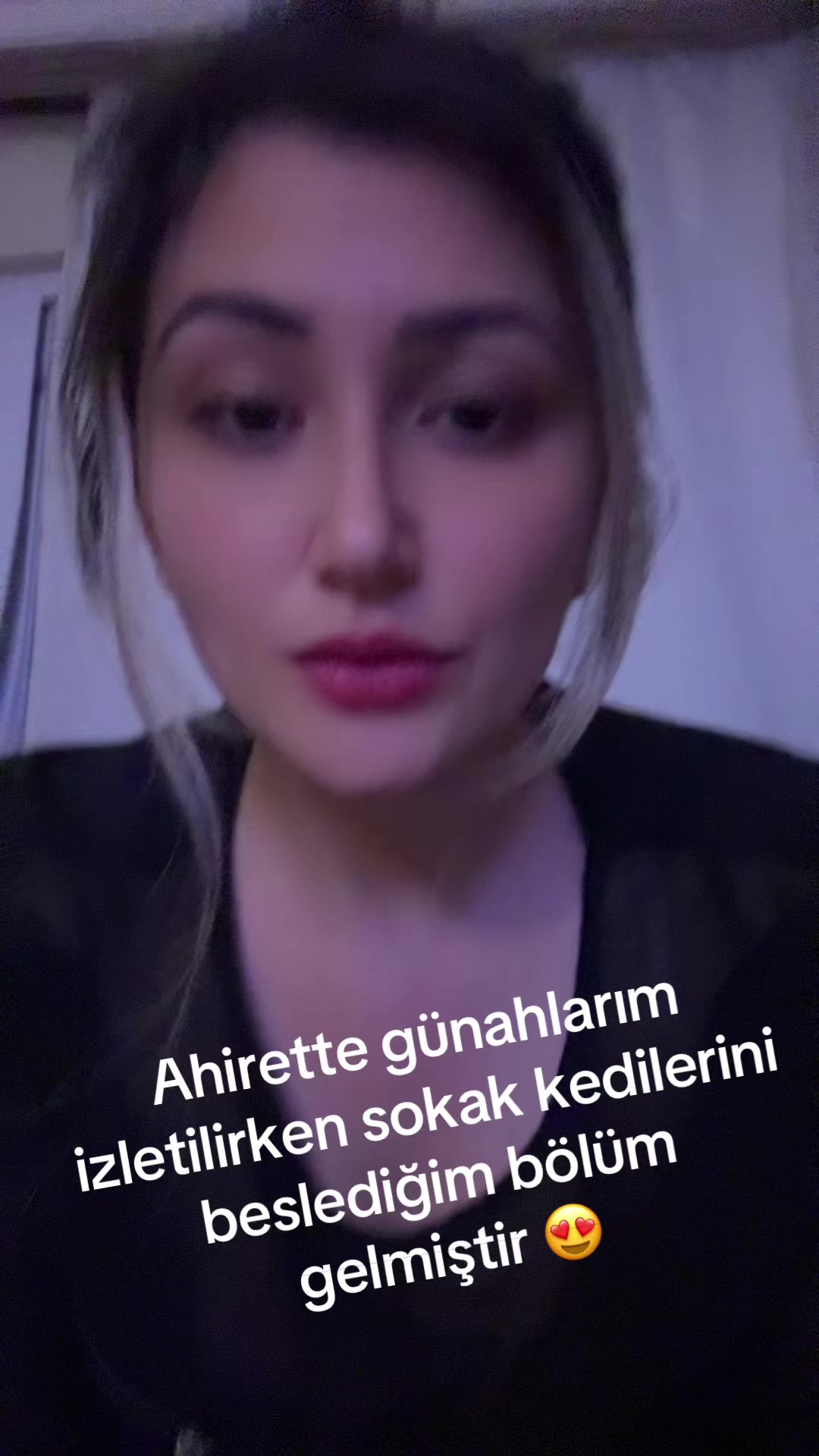 @bvm.19