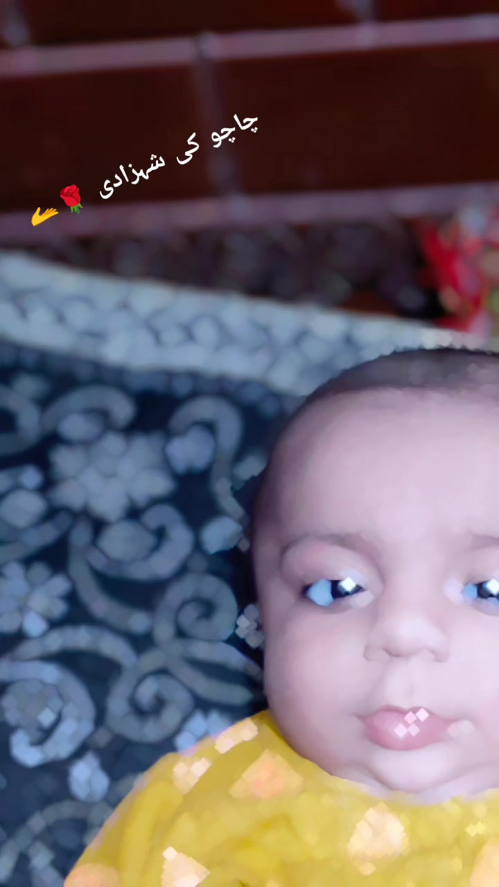 @K&otilde;ja MaLik