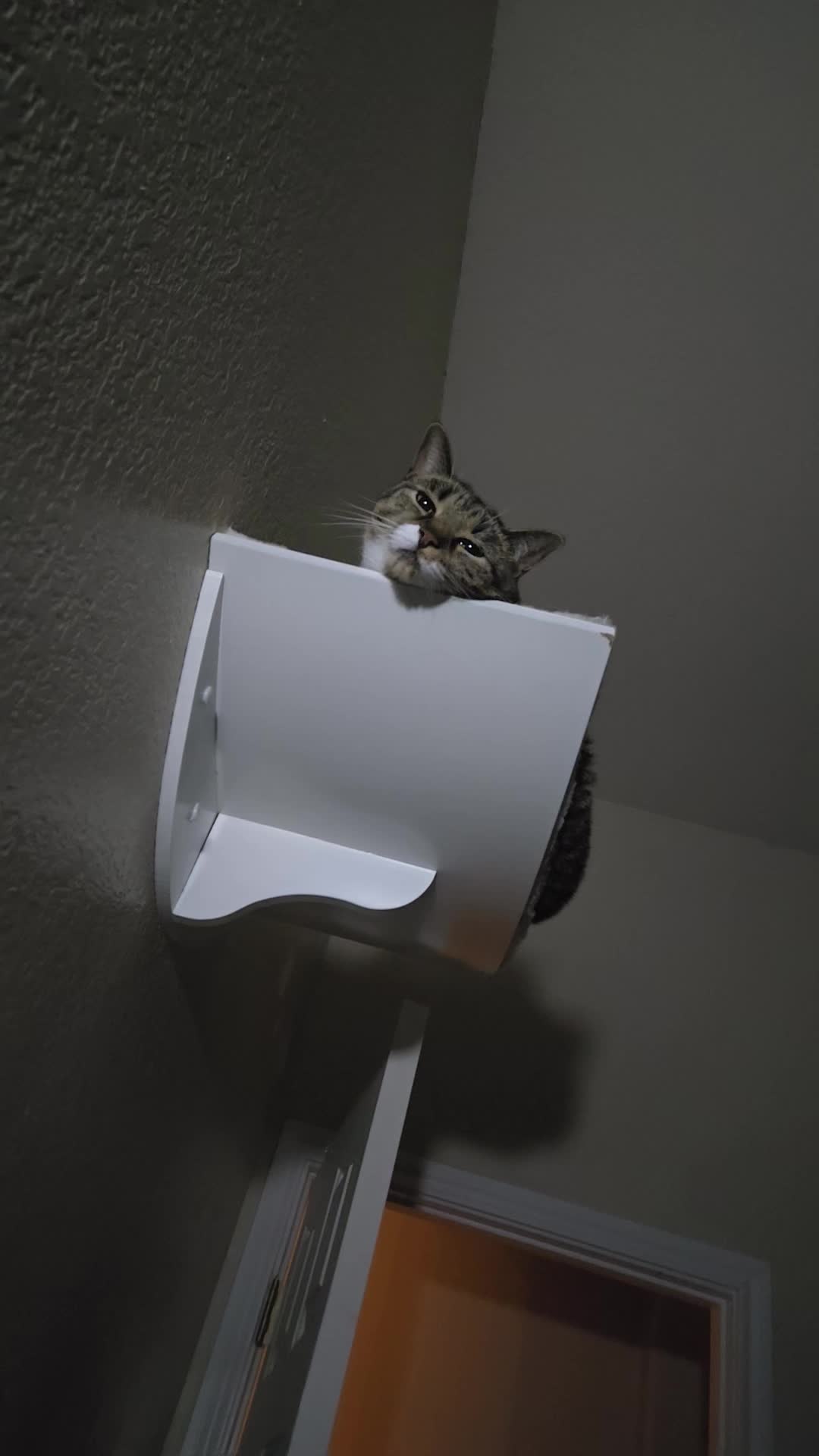 @Rand Mcure
