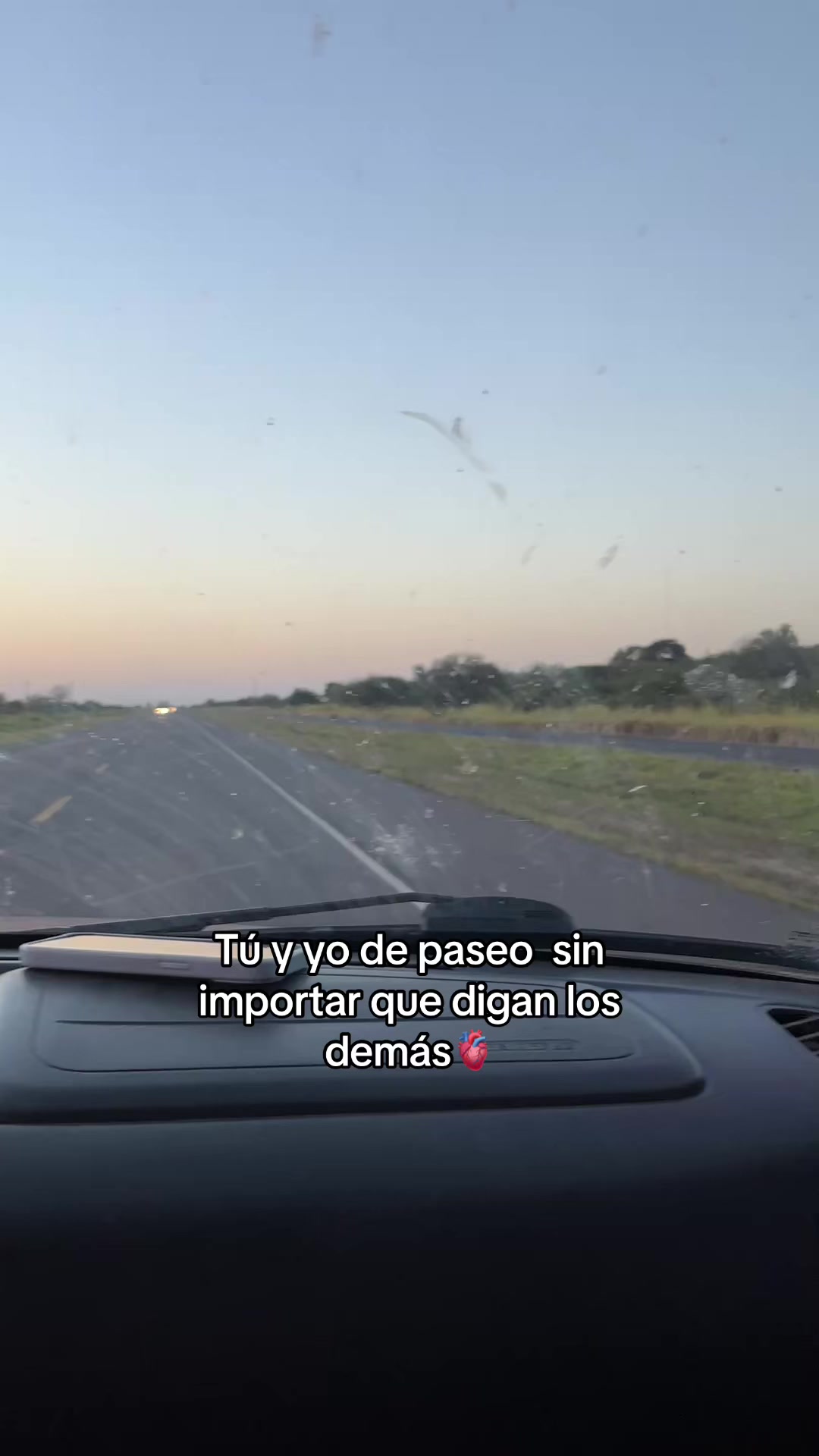 @Thamy 🦋