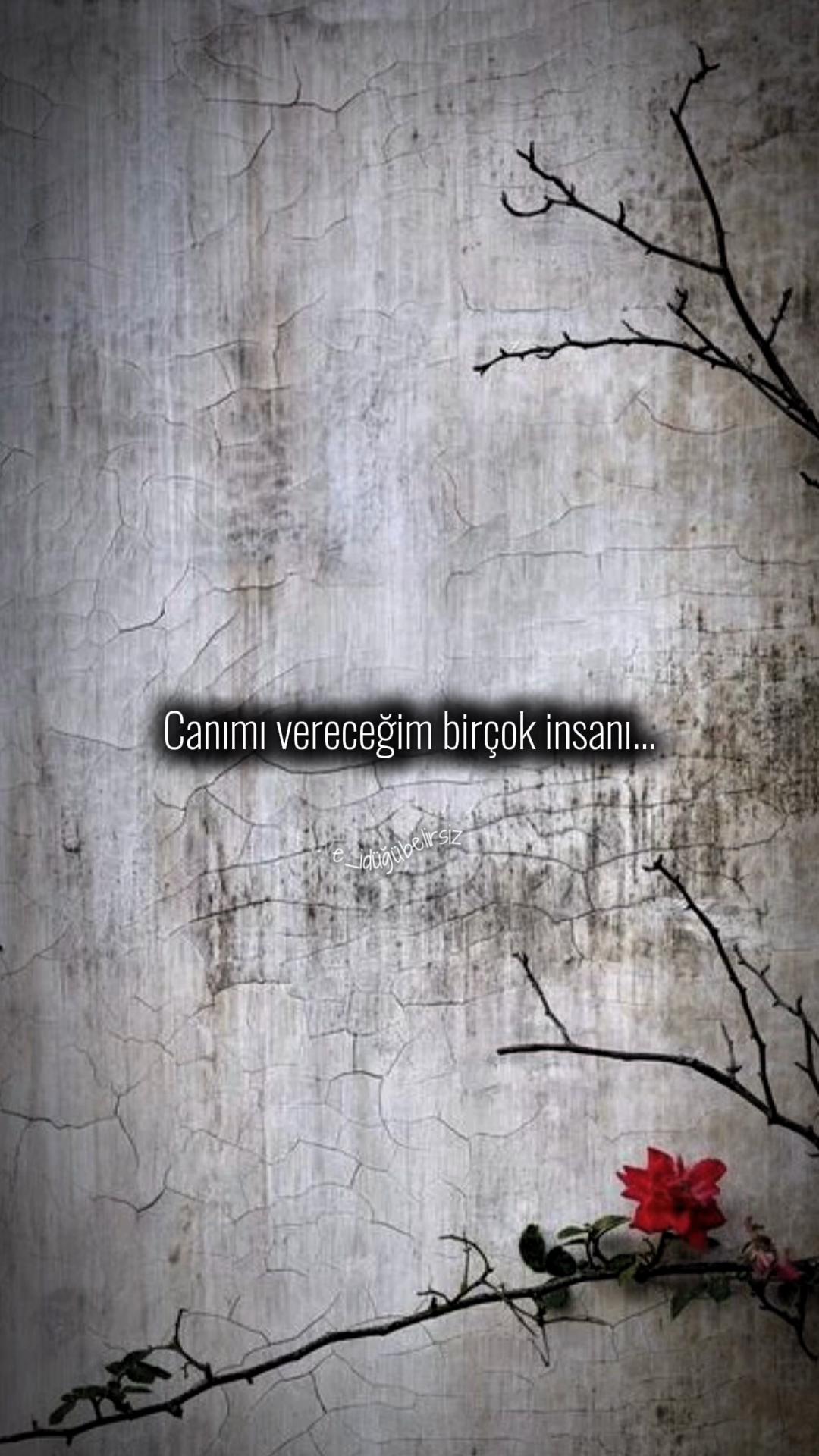 @ne_idugubelirsiz