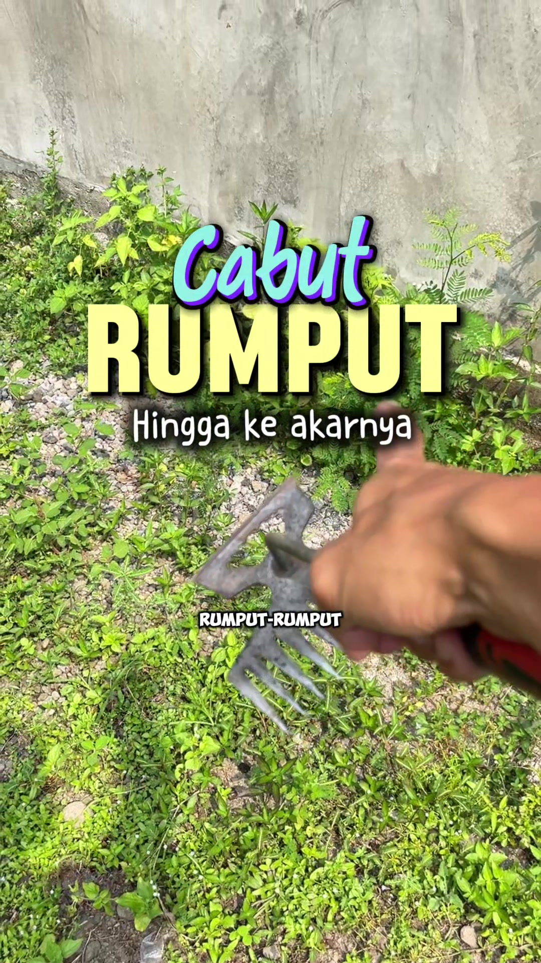 @anompriagung