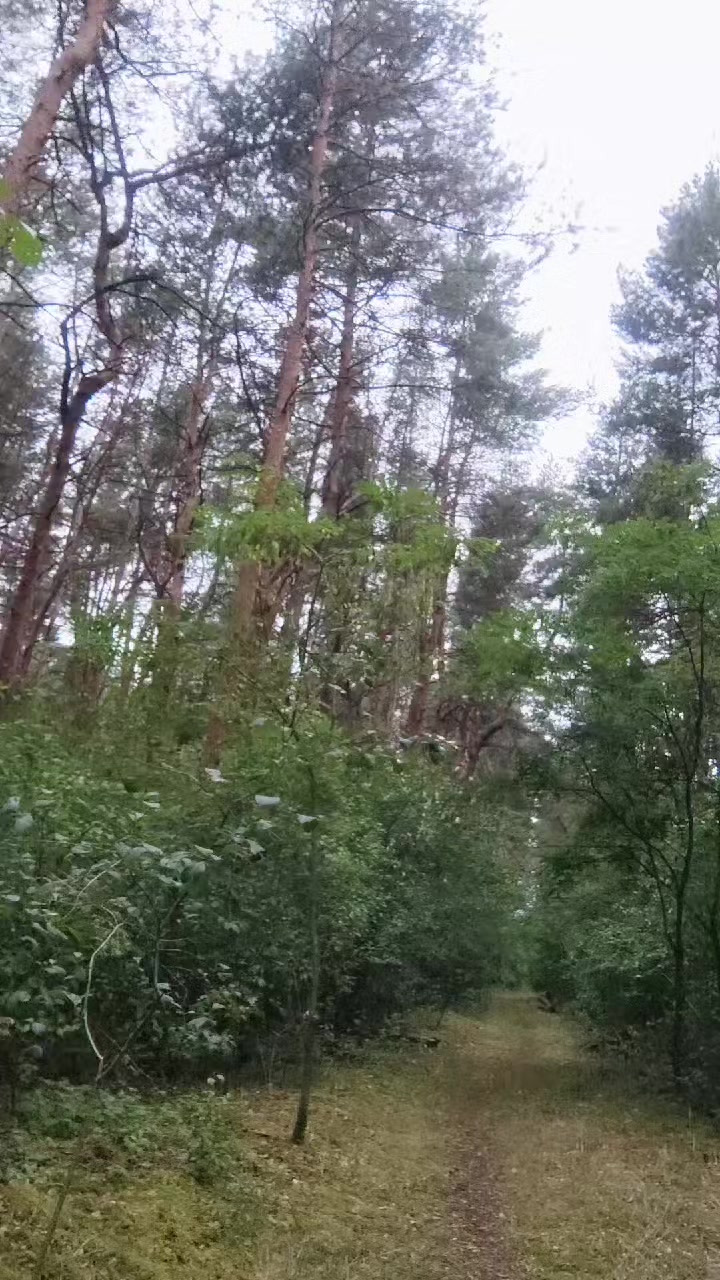@Елена Загадка