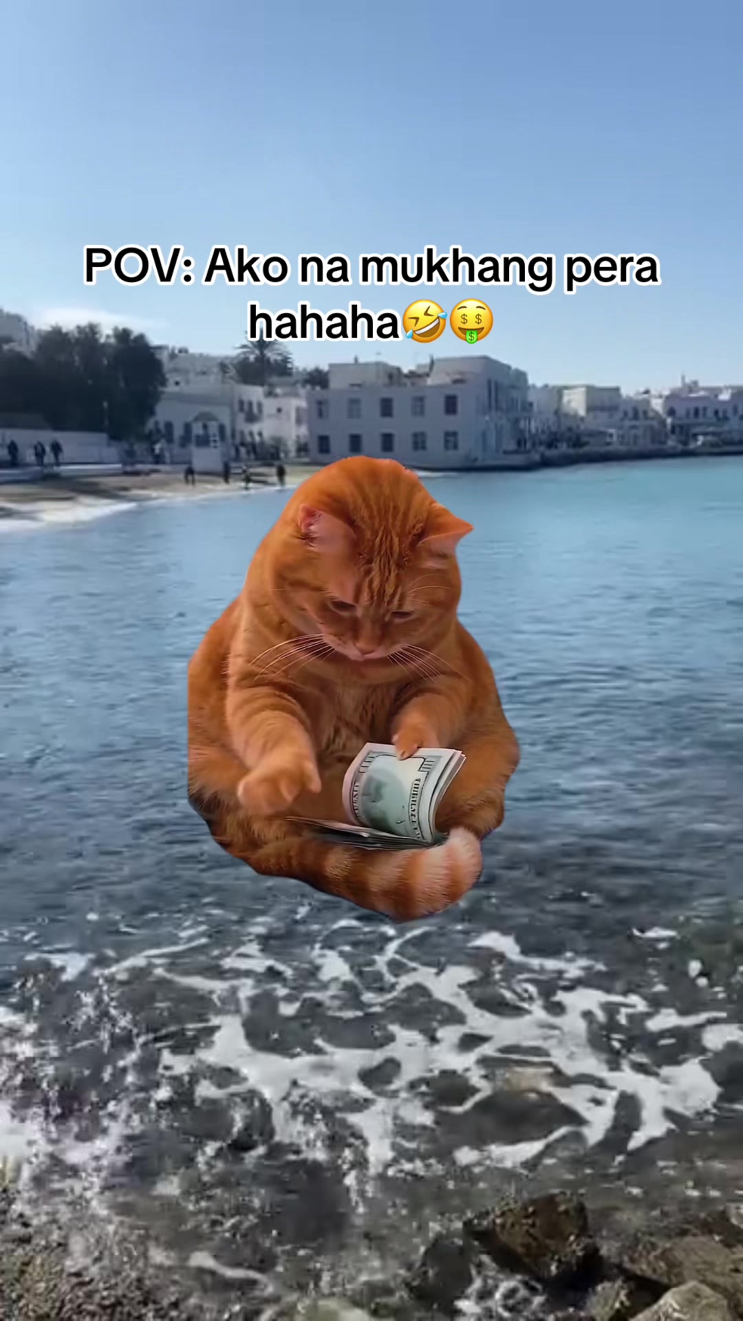 @suri.labelle