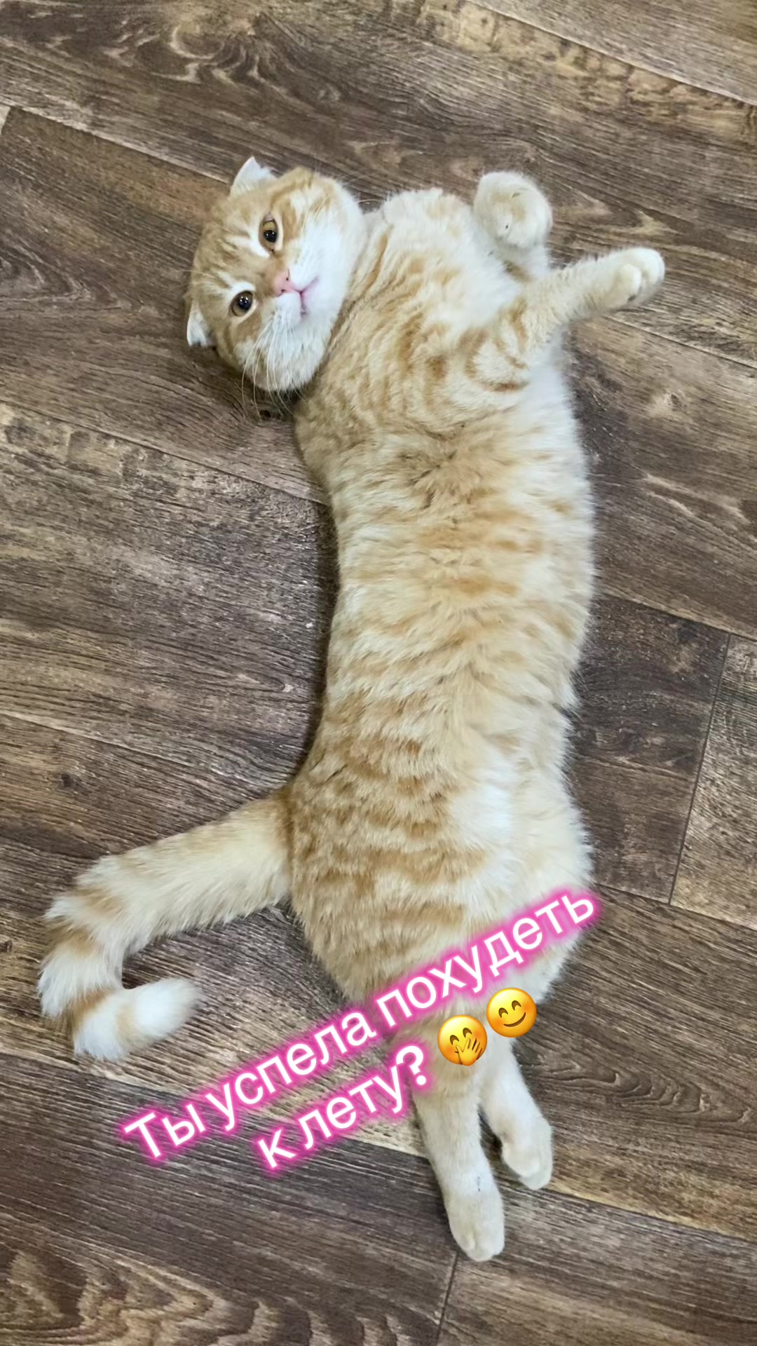 @Ирина