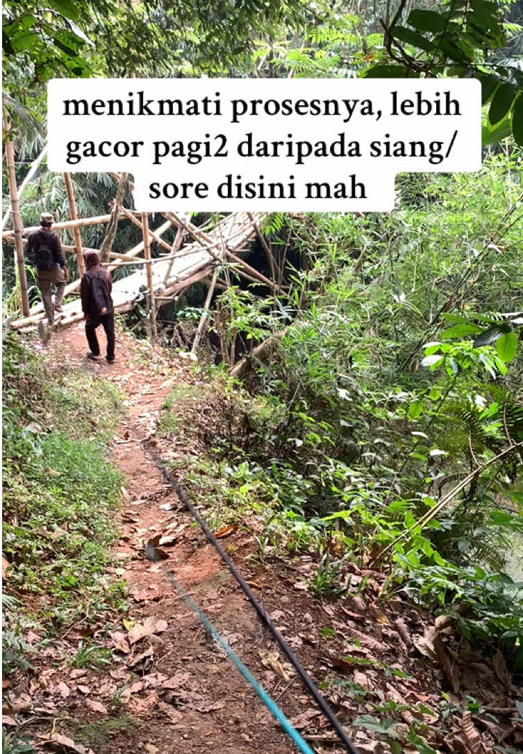 @Bang Fajri 🎣
