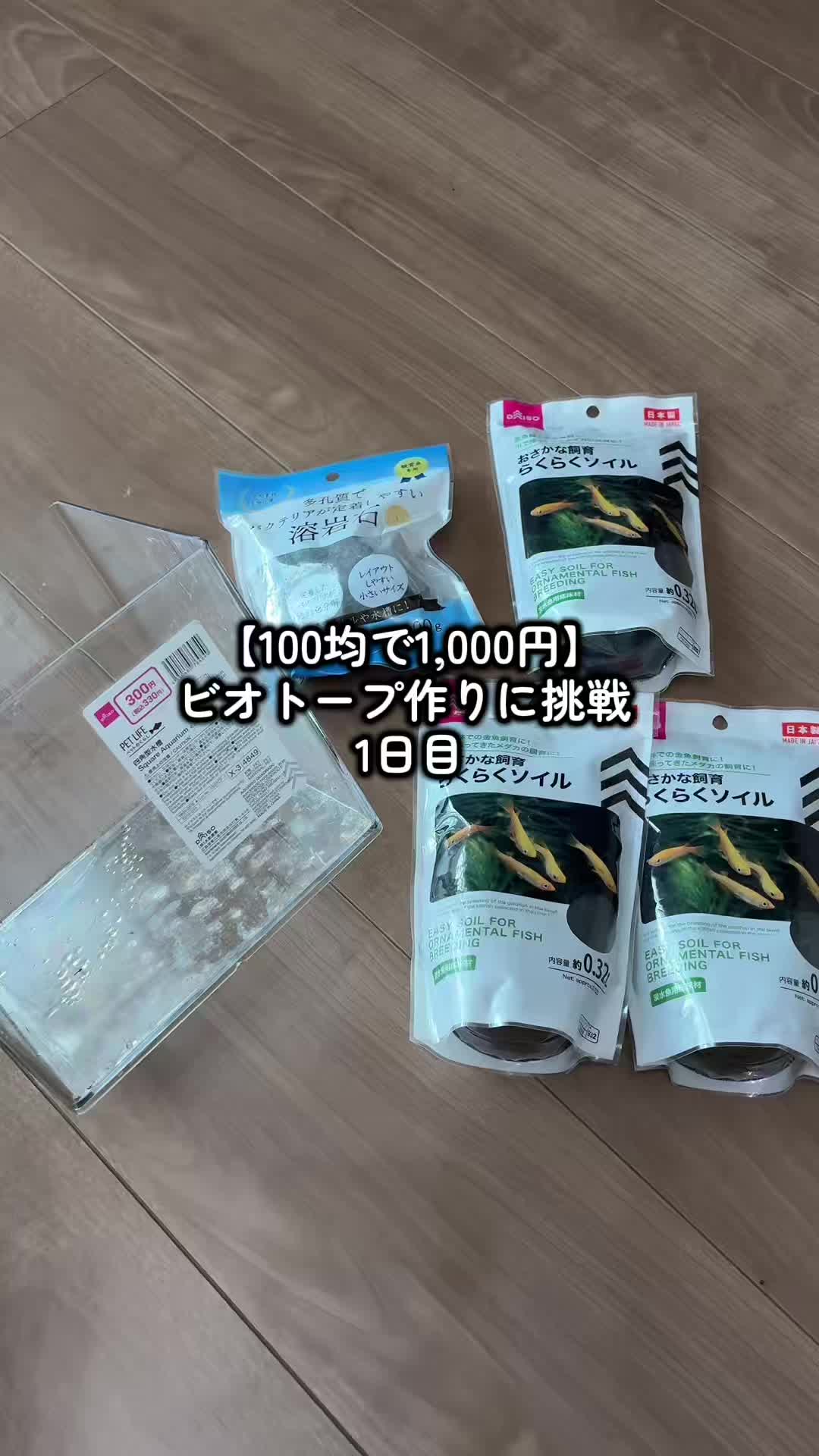@癒しの田舎暮らし日記