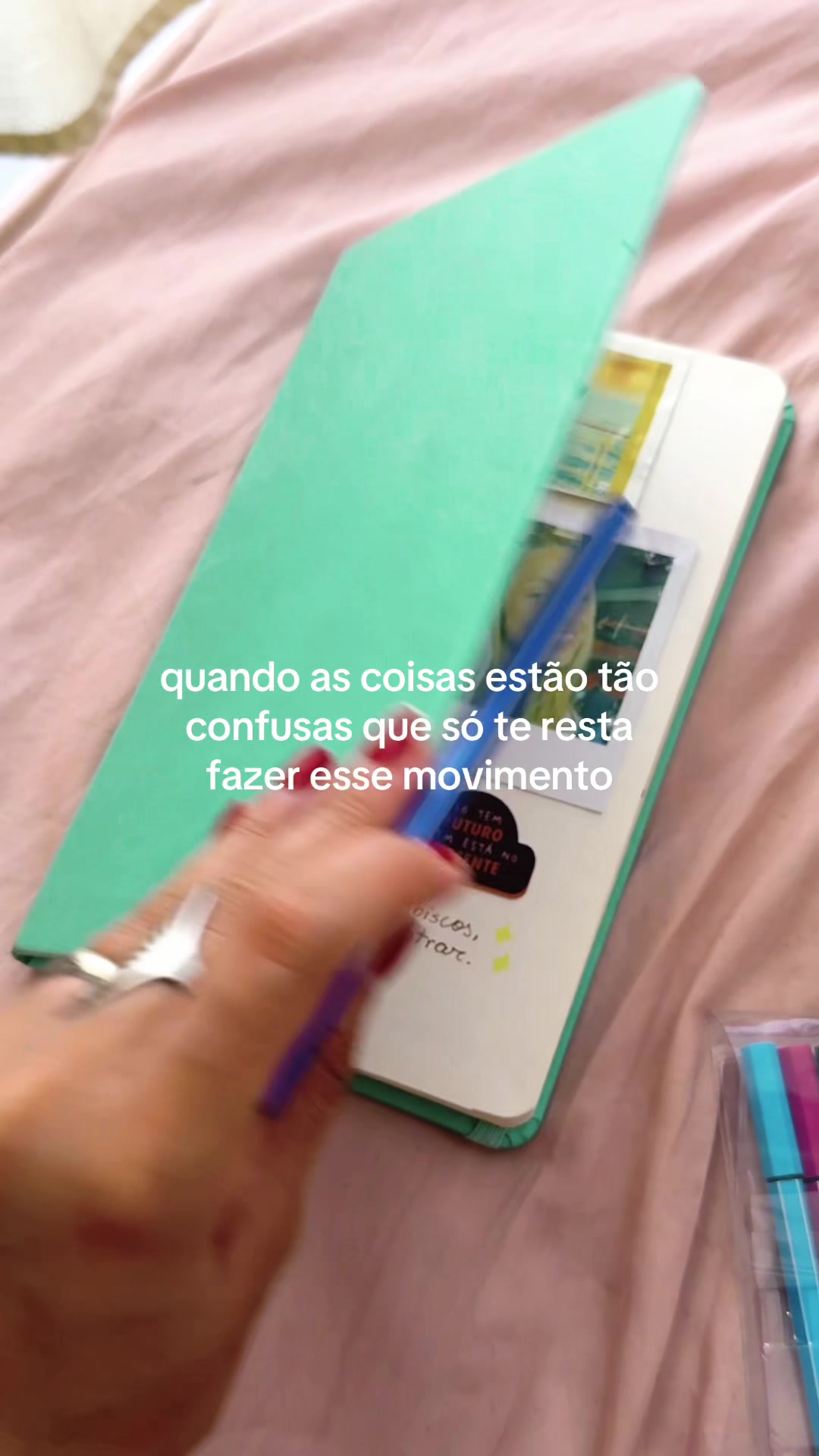 @Camille Lanusia