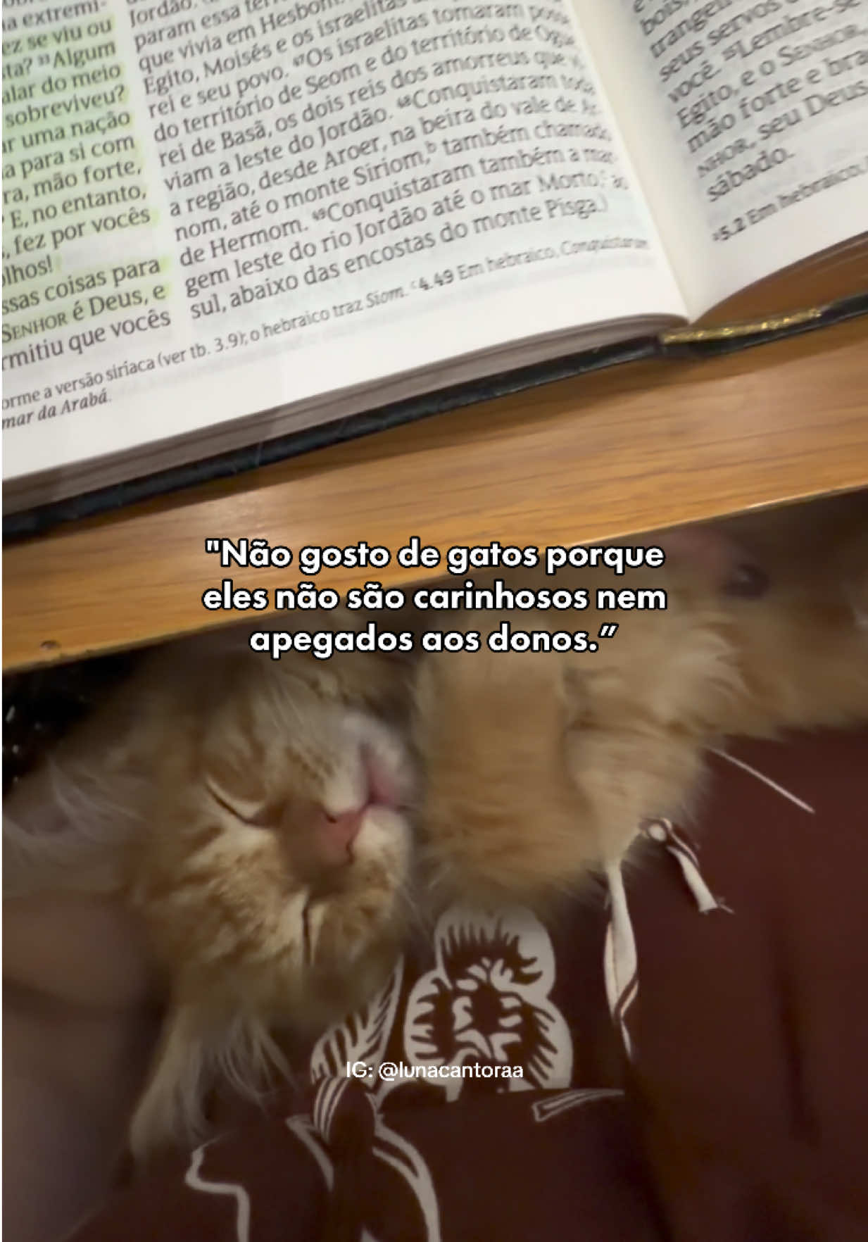@Luna