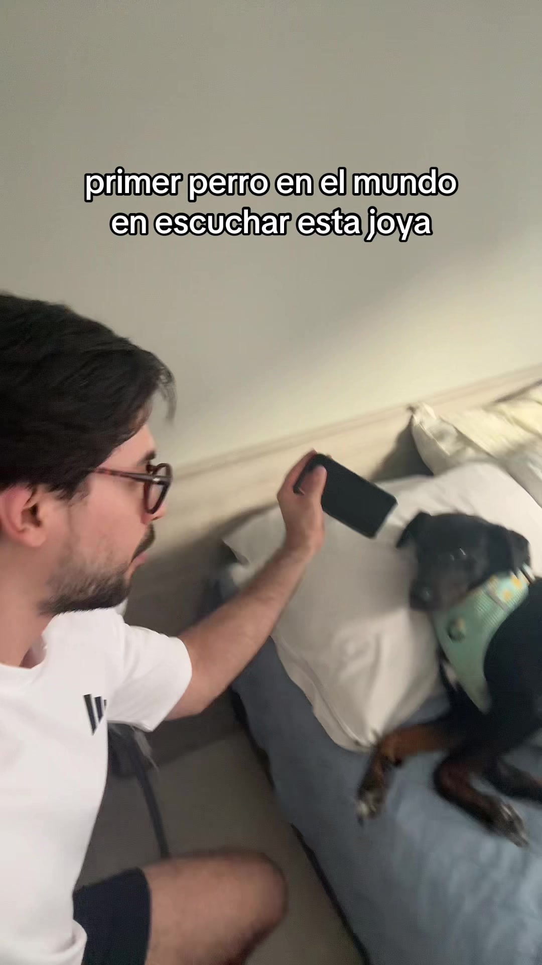 @jjuancardonaa