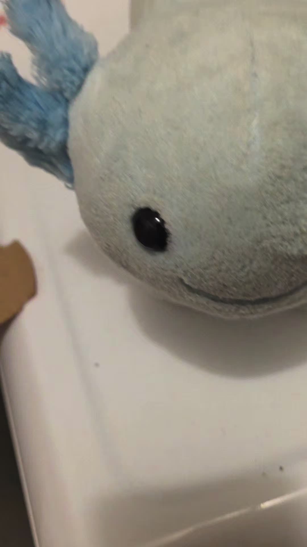 @Zap_IRL
