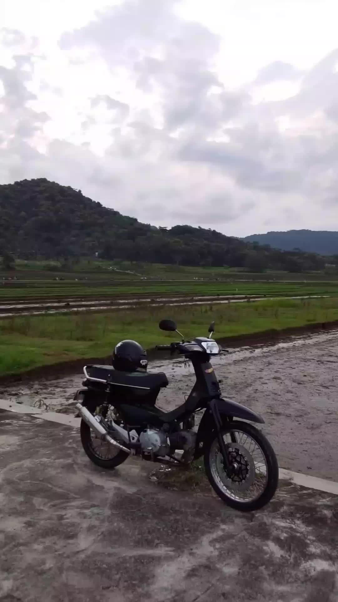 @sntd