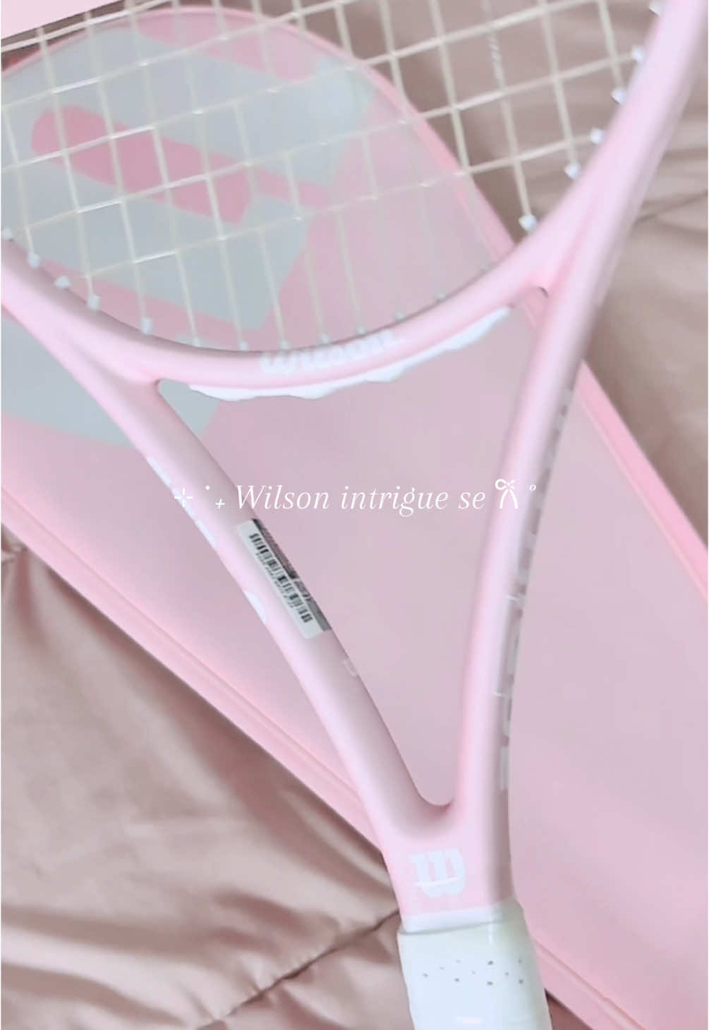 @FairyA ʚɞ