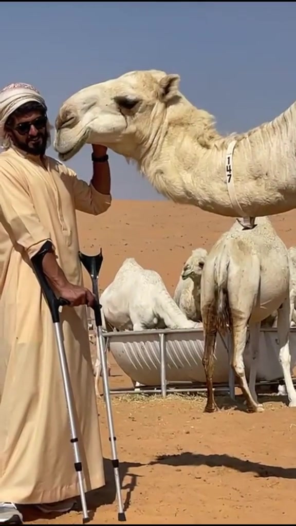 @uaeforever6