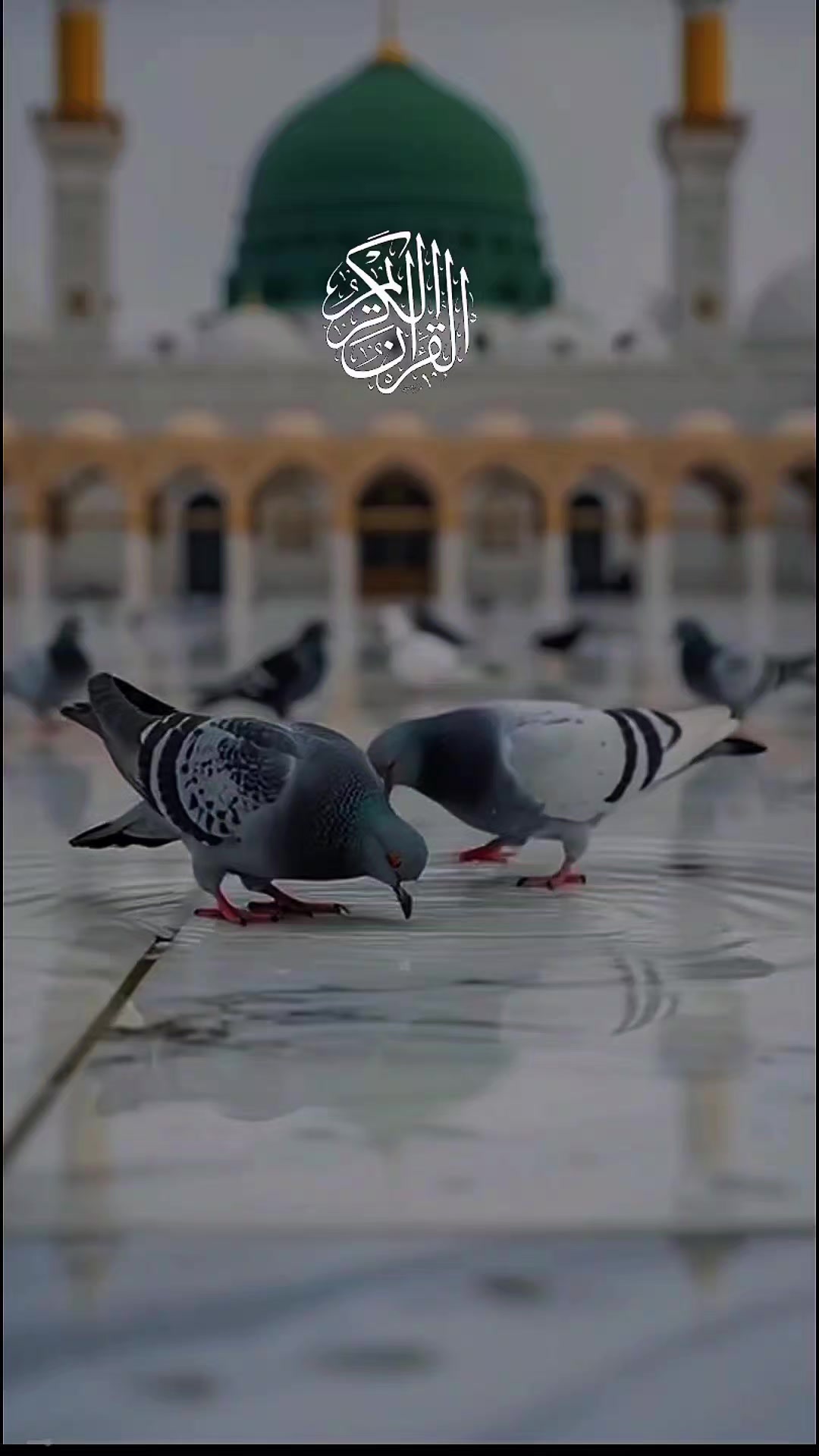 @🇨🇦 M_O_H_O_N_A_💔🇧🇩🇨🇦