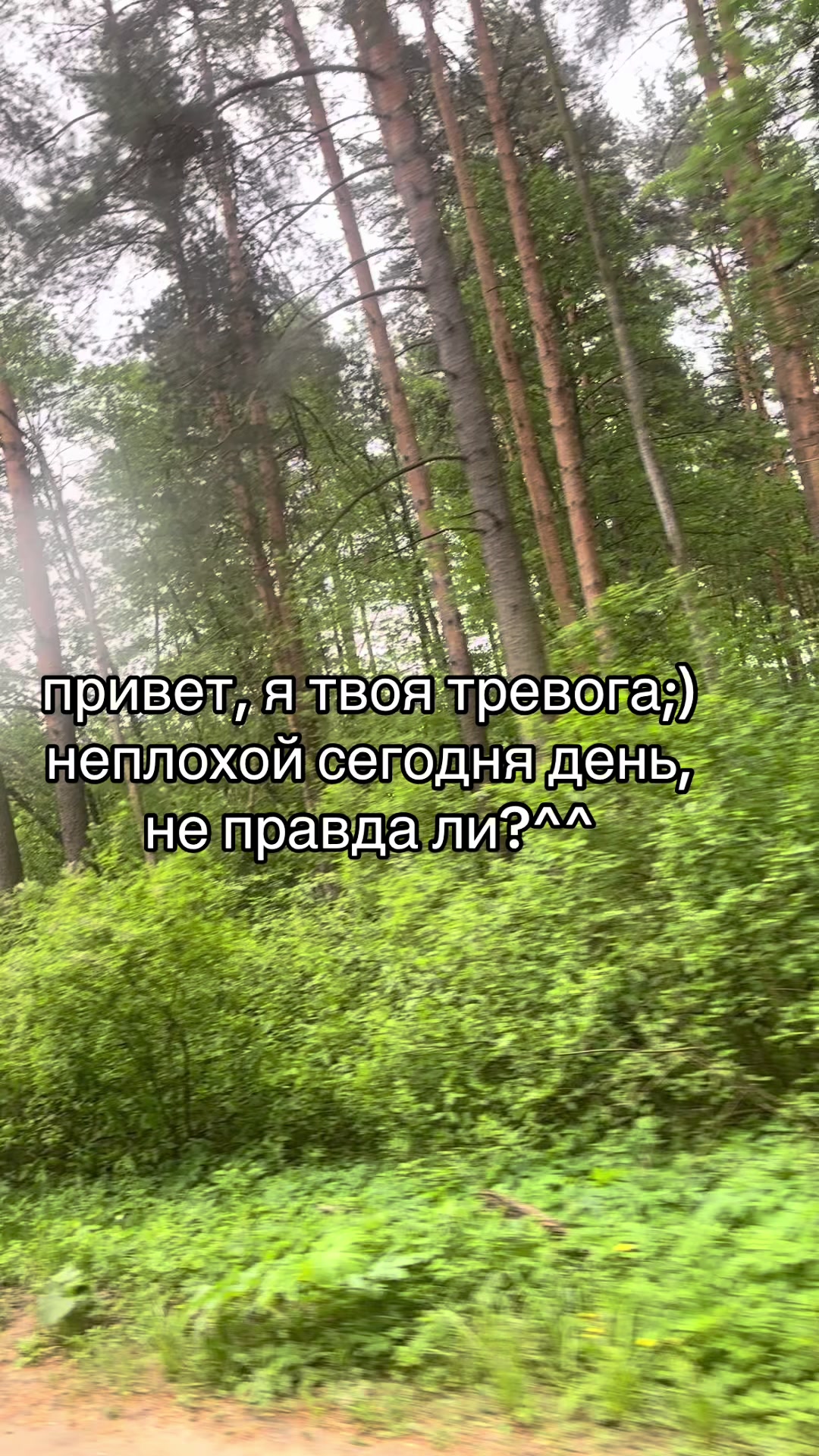 @vconvulsion