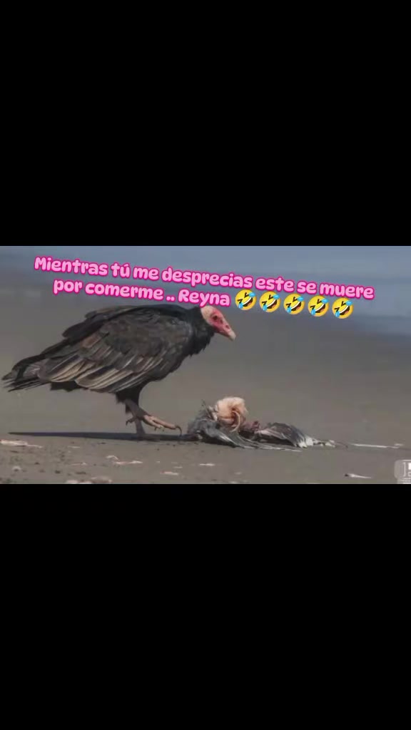 @De los vagos el mejor
