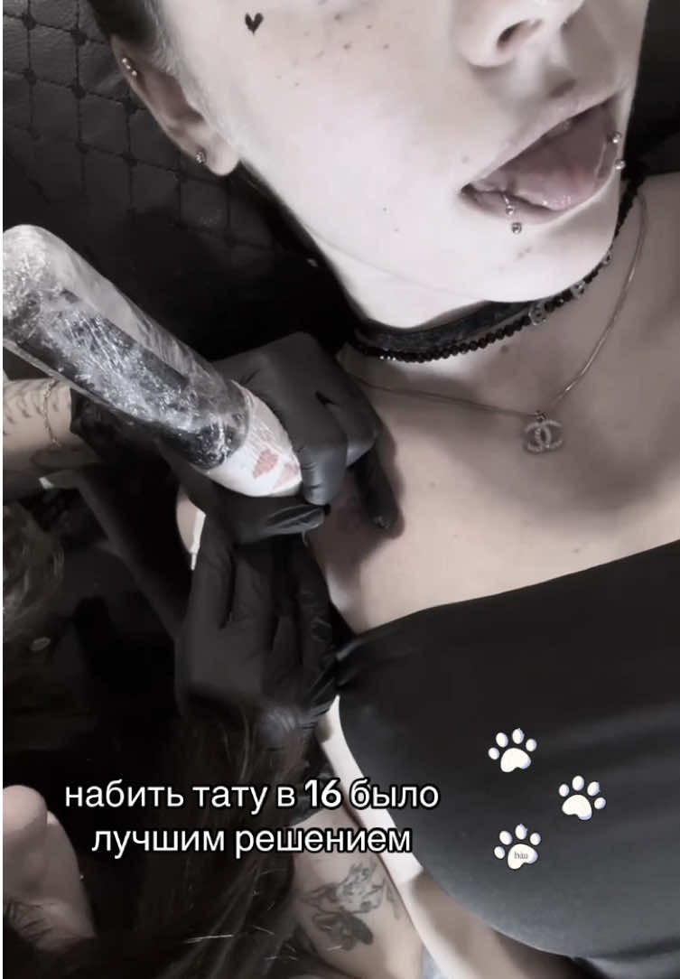 @m3ll 🐾