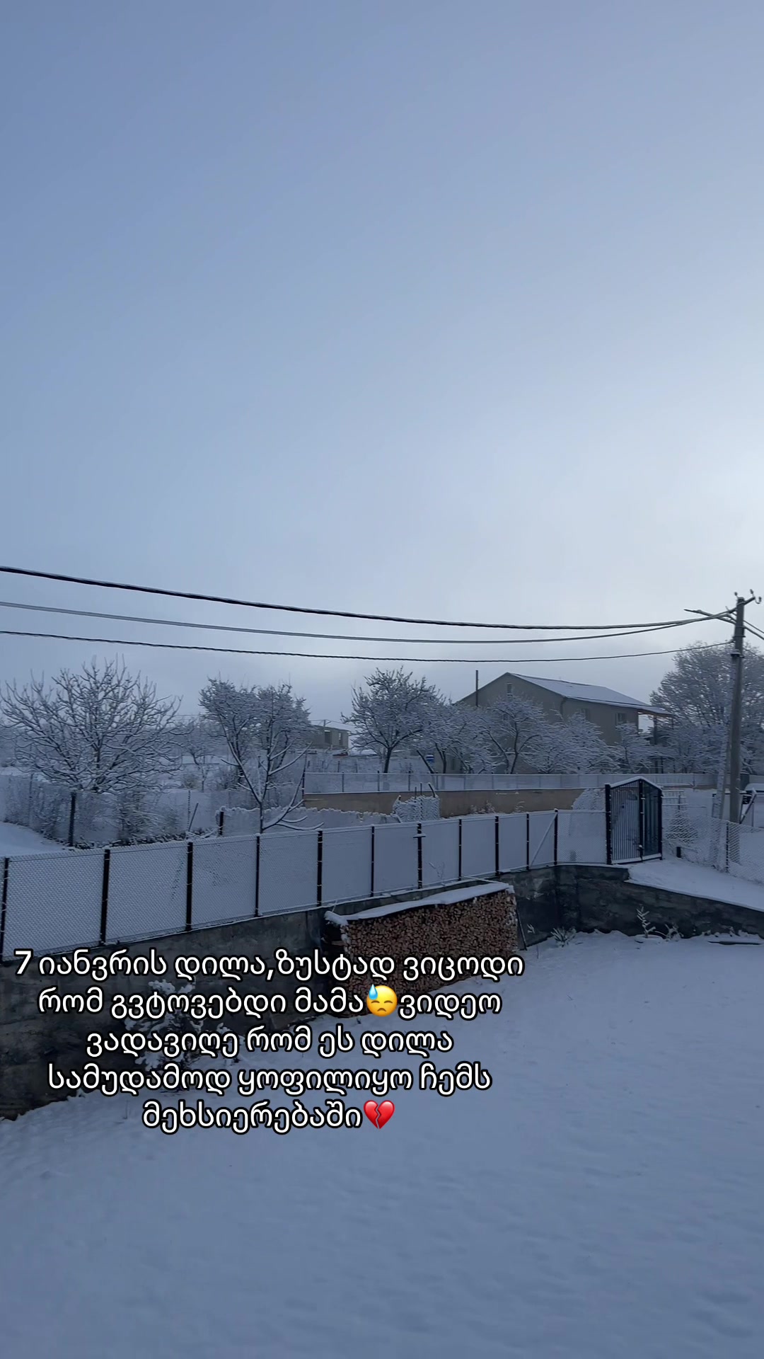 @ანი გერლიანი