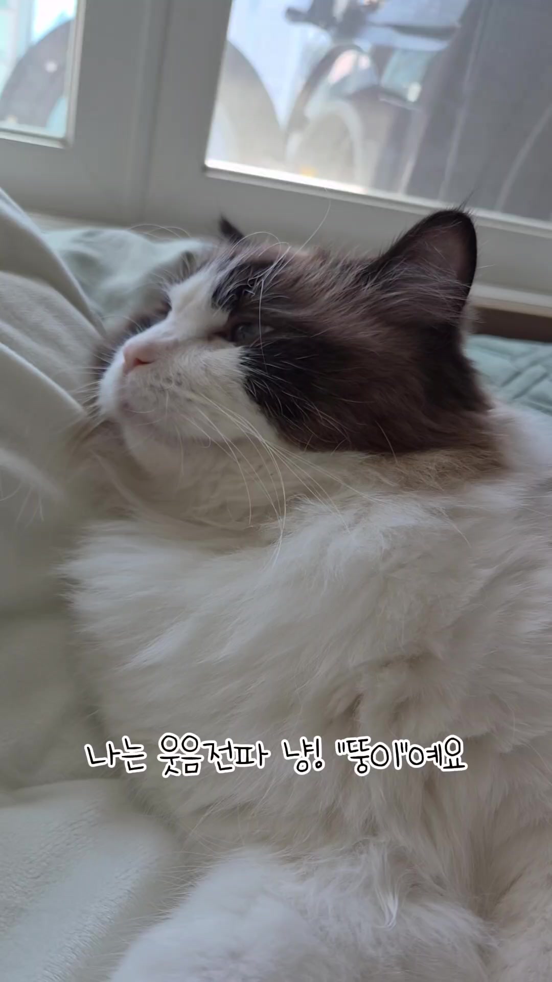 @ddoong2(๋ฑ์ด)