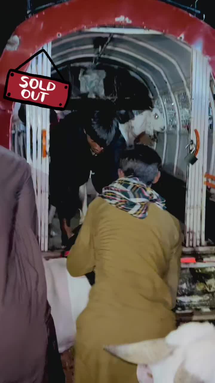 @✨.زاهد سولنگي واپاري. 🐐