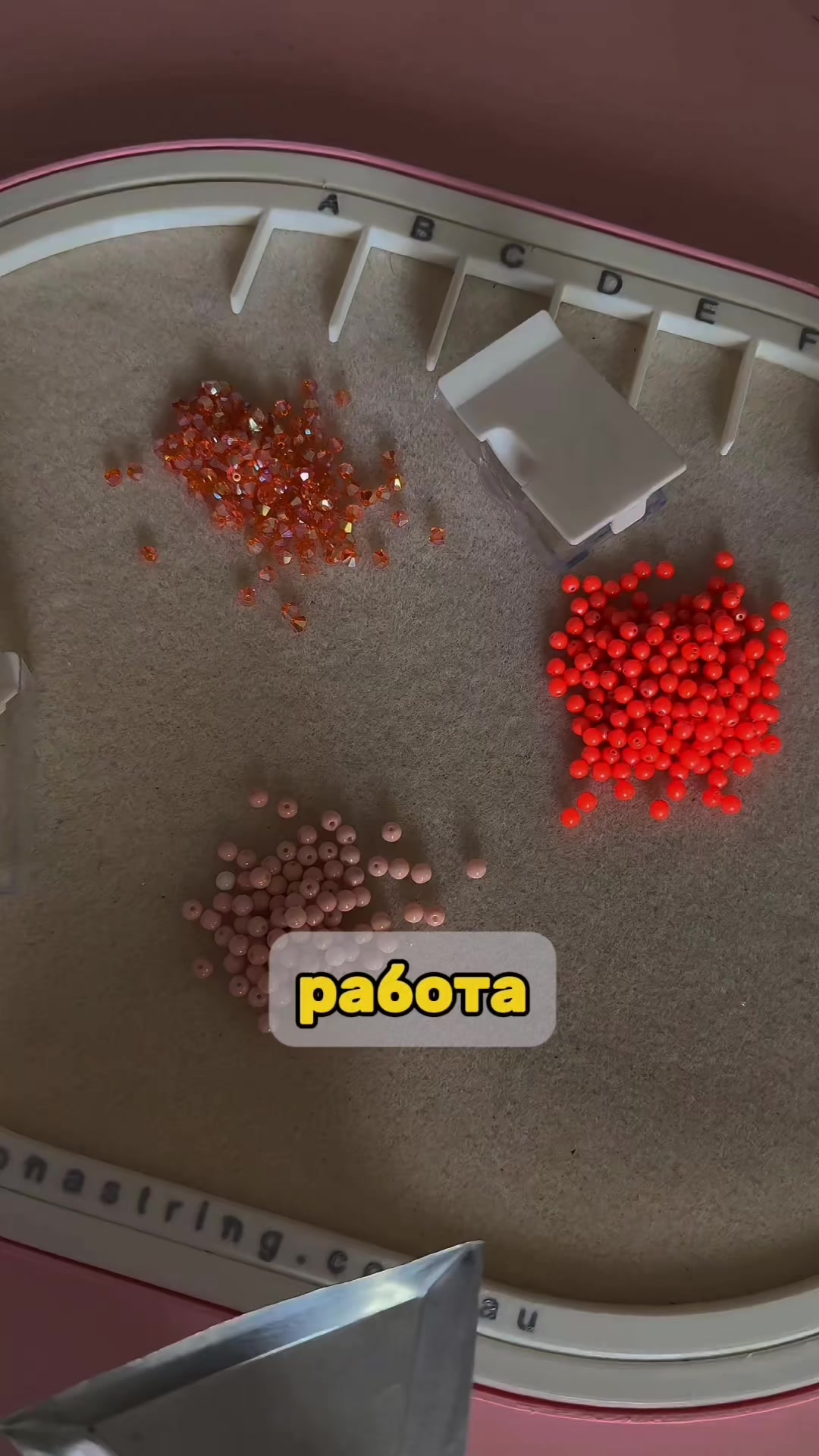 @raabota.tuts